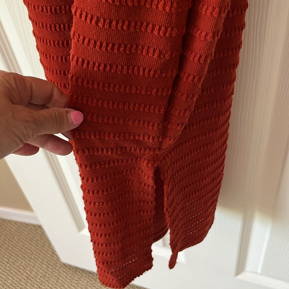 REWIND Rust Dress - Picture 4 of 9